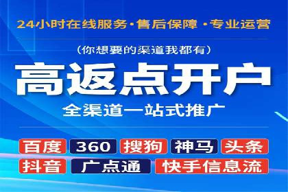 SEM代理的优化策略及成功案例
